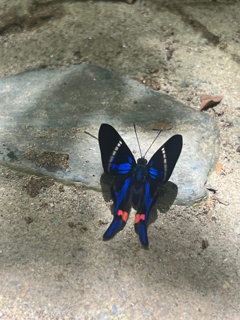 16388838-071f-49b0-9d8a-44cbfd06eb25-scaled