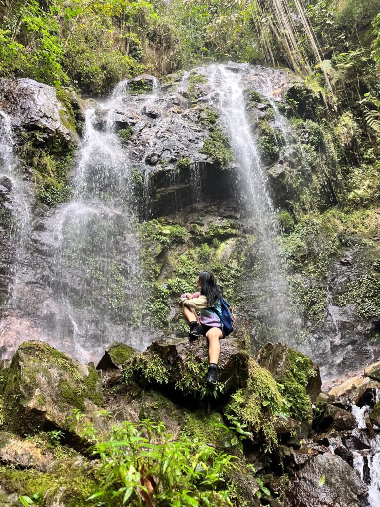 6c26cbba-015f-49c4-a0b1-d3d389d3cf4f-scaled