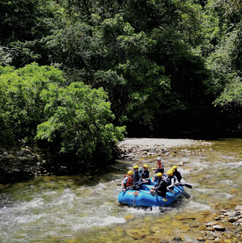 View-recent-photos-e1766276885915